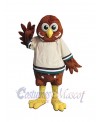 Owl mascot costume