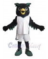 Owl mascot costume