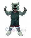 Dog mascot costume