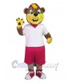 Bear mascot costume