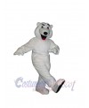 Bear mascot costume