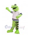 Frog mascot costume