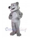 Wolf mascot costume