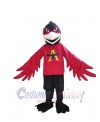 Raven mascot costume