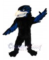 Raven mascot costume