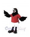 Raven mascot costume