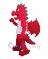 Dragon mascot costume