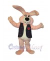 Easter Bunny Rabbit mascot costume