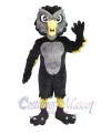 Owl mascot costume