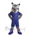 Lynx mascot costume
