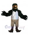 Falcon mascot costume