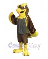 Falcon mascot costume