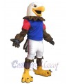 Eagle mascot costume