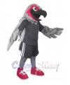 Hawk mascot costume