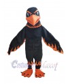 Hawk mascot costume