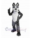 Dog mascot costume