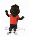 Lion mascot costume