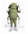 Cockroach mascot costume