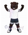 Bear mascot costume