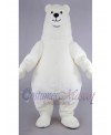 Bear mascot costume