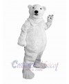 Bear mascot costume