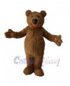 Bear mascot costume