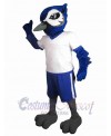 Bird mascot costume