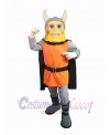 Viking mascot costume