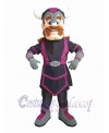 Viking mascot costume