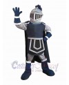 Knight mascot costume