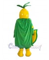Knight mascot costume