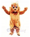 Top Quality Squirrel Mascot Costumes 