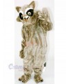 Brown Raccoon Mascot Costumes Cheap	