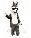 Cool Husky Dog Mascot Costumes Animal	