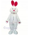 White Rabbit with Long Ear Mascot Costumes Animal