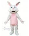 Smiling Gray Rabbit Mascot Costumes Animal