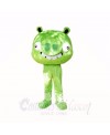 Green Pig Mascot Costumes Cartoon