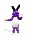 Purple Easter Bunny Mascot Costumes Cartoon