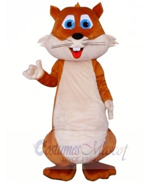 High Quality Chubby Squirrel Mascot Costumes 