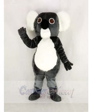 Cute Gray Koala Mascot Costume Cartoon