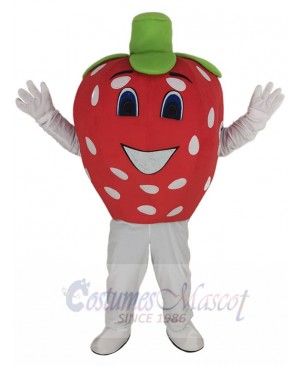 Red Strawberry Mascot Costume Cartoon