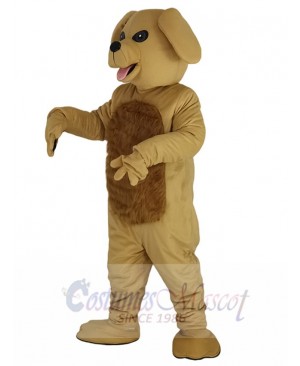 Lovely Golden Dog Mascot Costume Animal