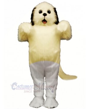 Cute Shaggy Maggy Dog with Grey Mascot Costume School