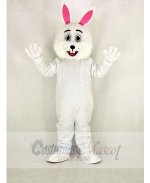Easter Bunny Rabbit with Glasses Mascot Costume Cartoon	