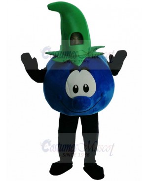 New Style Bobby Blueberry Mr Blueberries Mascot Costume Plant