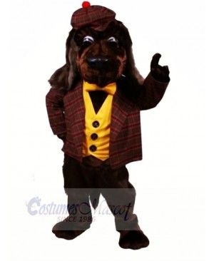 Brown Rover Dog Mascot Costumes Cartoon