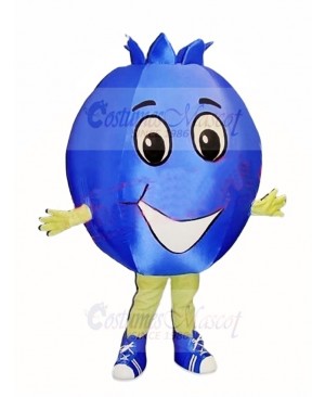 Top Quality Blueberry Mascot Costume 