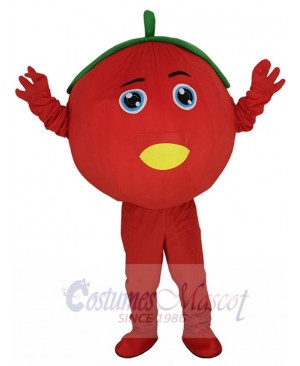 Cute Tomato Fruit Mascot Costume Cartoon