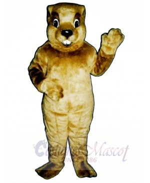 Groundhog Mascot Costumes 