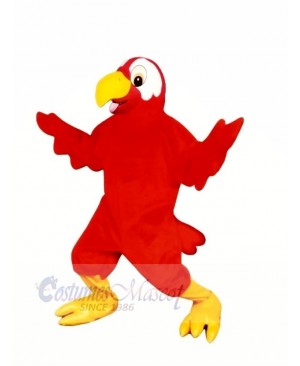 Marty Macaw Mascot Costumes Cartoon